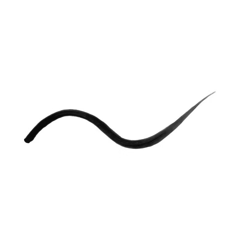 Black Precision Liquid Eyeliner - Image 2